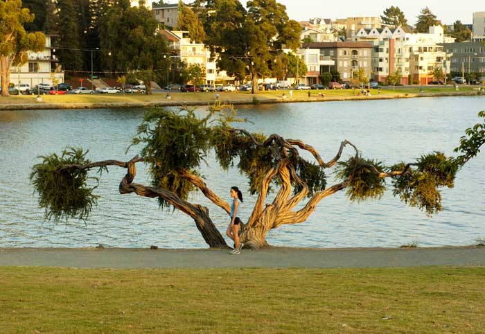 Lake Merritt in Oakland
