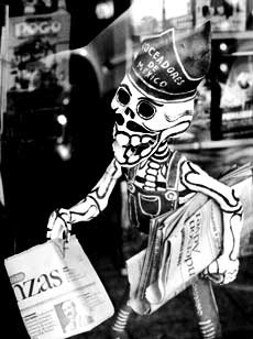 Figure in a local bookstore window.