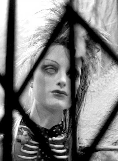 Telegraph Avenue window display