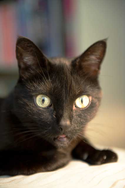 Ms. Emmy in the evening.