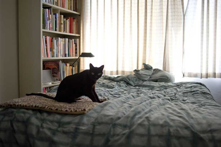 Ms. Emmy this morning.